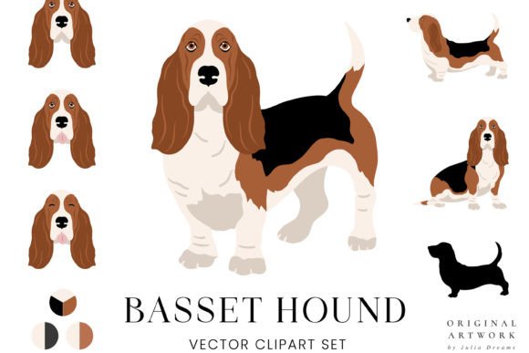 Basset Hound Dog Breeds Pets Animals